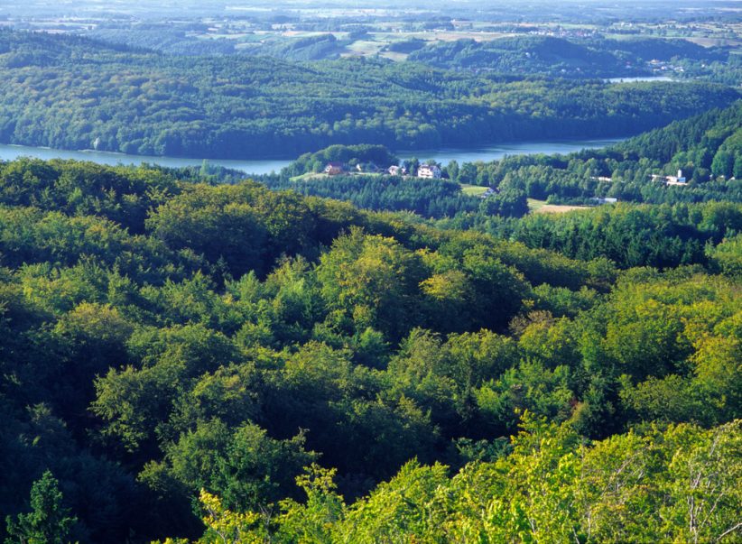 Widok z Wieżycy, nazywanej "królową" północnej Polski, jest bajkowy (Shutterstock.com)