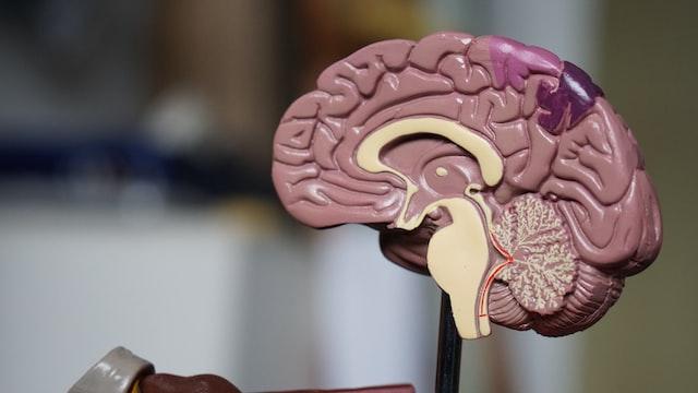 Neurochirurgia – ogólne wprowadzenie do dziedziny medycyny