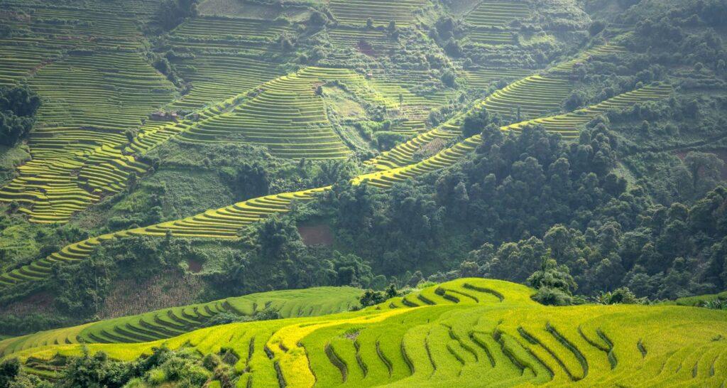 Wycieczka do Wietnamu